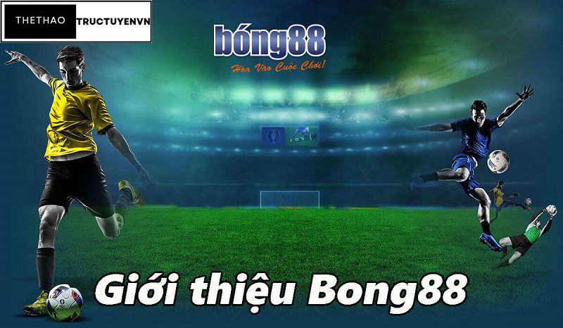 Bong88 | Link vào bong88 mới nhất hiện nay để đặt cược 3 giới thiệu nhà cái bong88